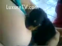 Cute little puppy getting milk from an amateur milfs tit